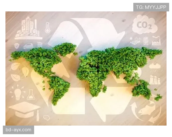 欧洲杯践行绿色理念：环保举措助力赛事可持续发展