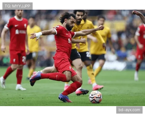 非洲区世界杯预选赛激战正酣，多国球队为出线名额展开激烈争夺