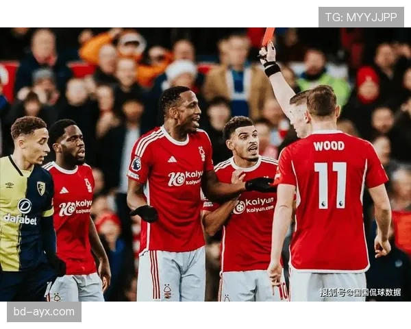 诺丁汉森林强势回归英超，2025赛季展现强劲竞争力